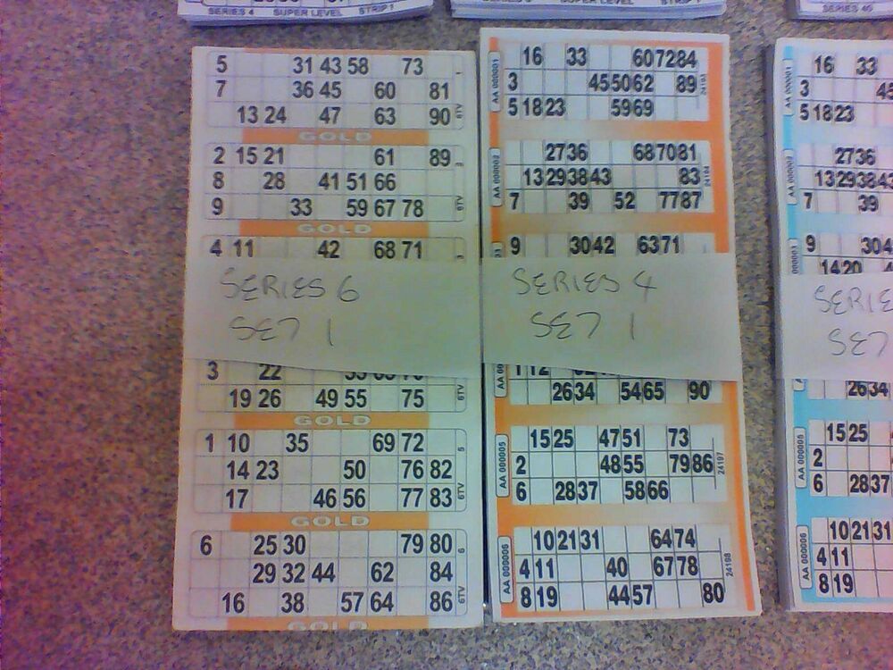 Gringos bingo ticket