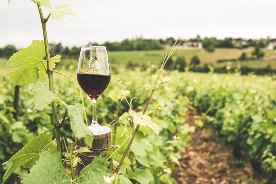 Full-day Mount Tamborine winery tour from Brisbane with lunch