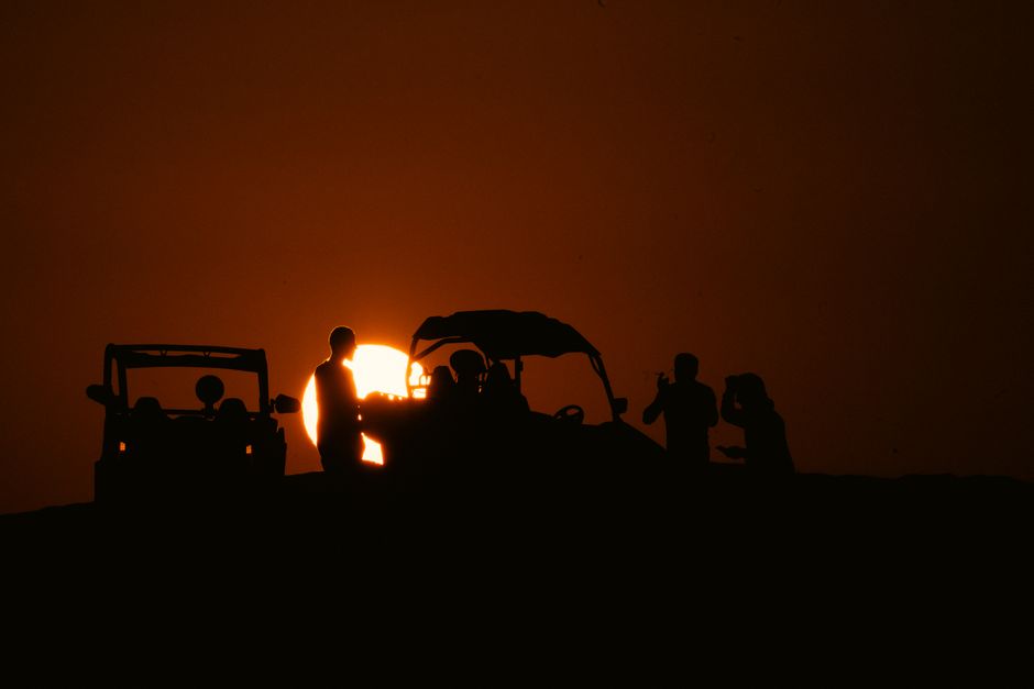Desert Safari with BBQ and Souk Al Wakra - Full-Day Tour