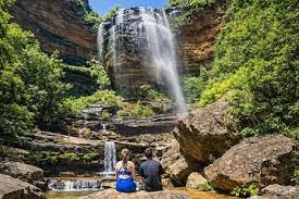 Wildlife, waterfalls and wine full day guided tour from Sydney