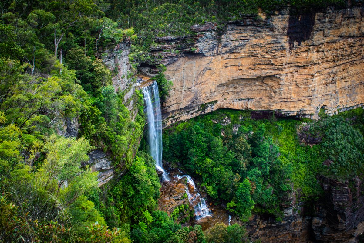 Wildlife, waterfalls and wine full day guided tour from Sydney
