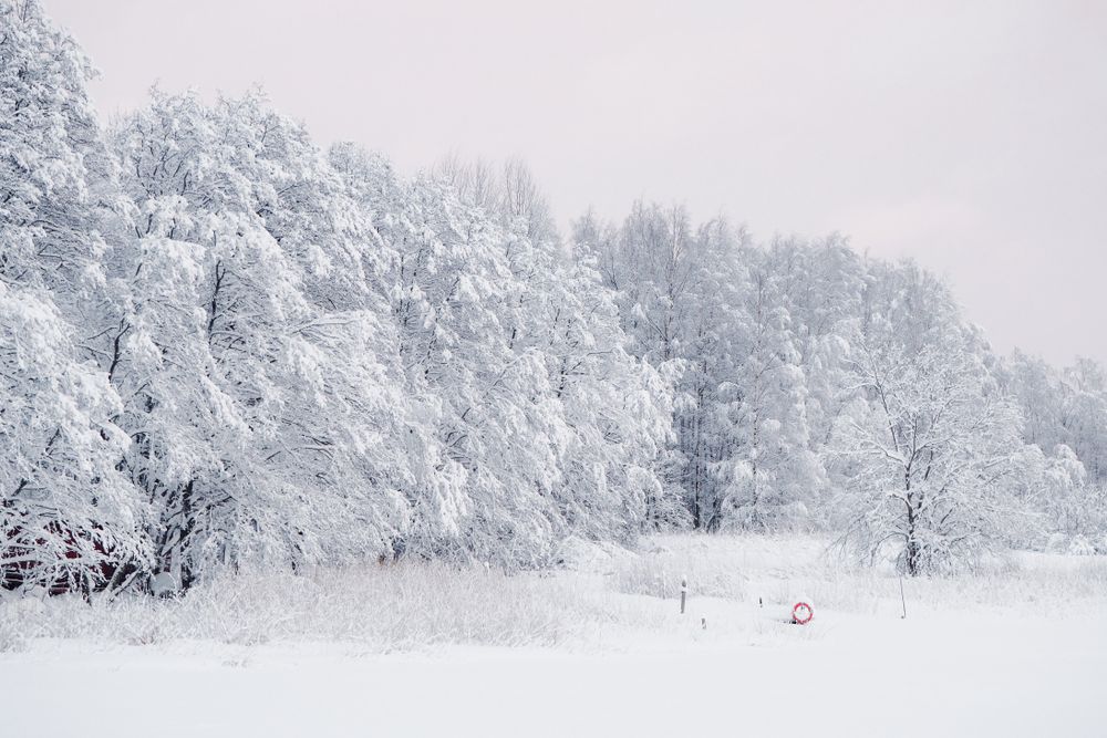 Winter wonderland hike